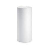 CFS 1 Micron Heavy Duty Filter for RS16-SS2-S06, BF6, BF7, BF35, 1 Pack