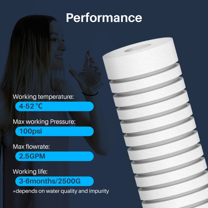 CFS Standard Capacity Whole House Replacement Water Filter Cartridges – 2 Pack