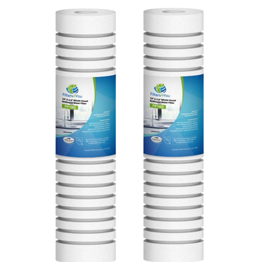 2-pack standard capacity whole house replacement water filter cartridges