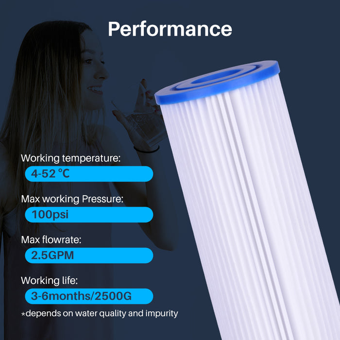10 inch pleated sediment filter cartridge for chlorinated water supplies