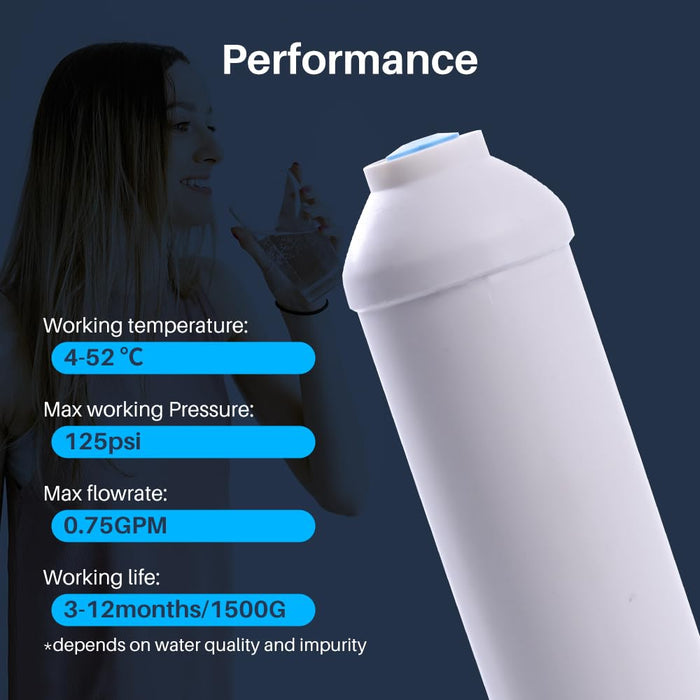 CFS 10 In Inline Carbon Post Filter 1/4 In Female Thread for T33 RO