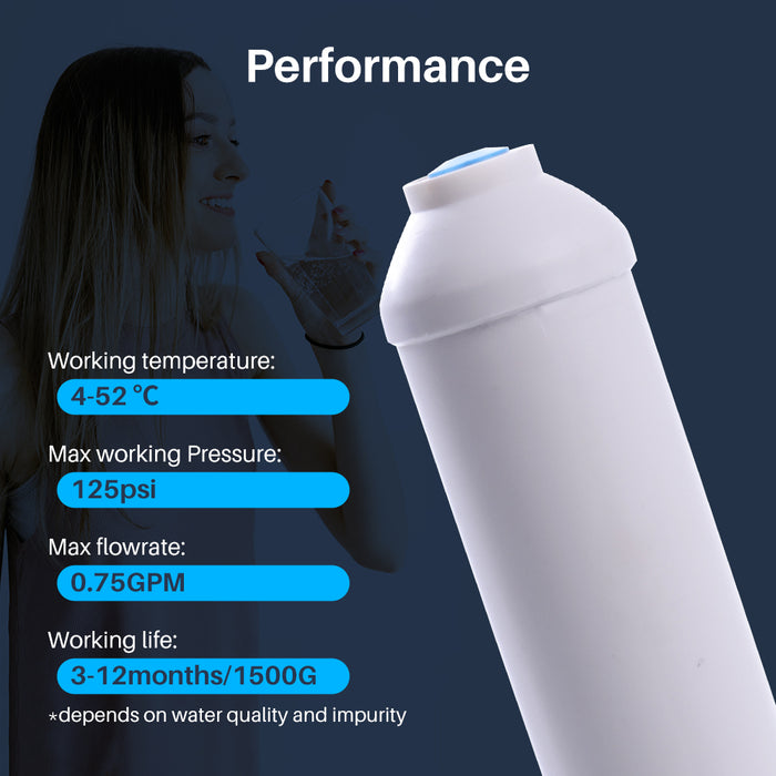 reverse osmosis inline post-filter cartridge