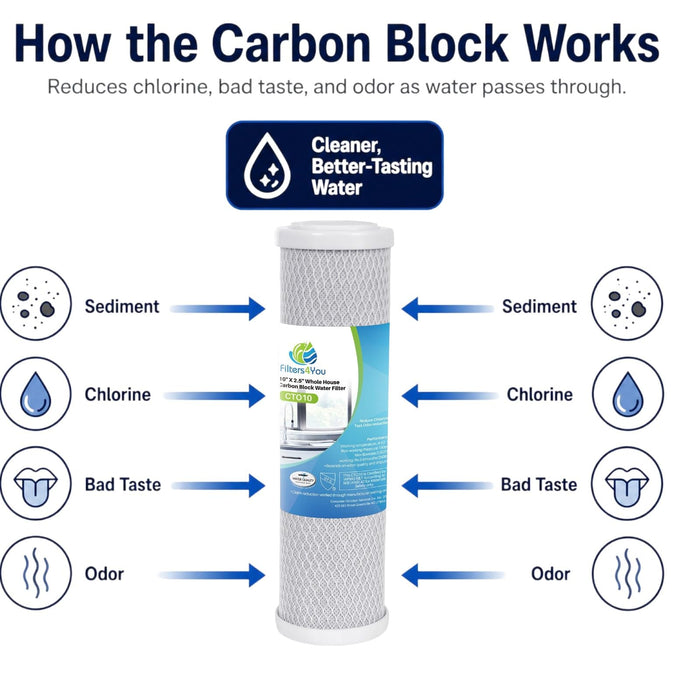 CFS Carbon Water Filters for RainSoft 21176, 21179, 21191, 2 Pack
