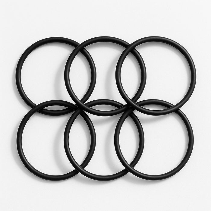 6 black Big Blue housing O-rings