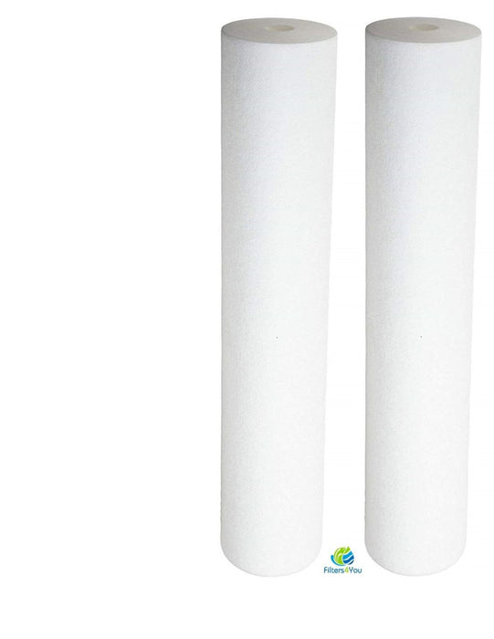 2-pack Big Blue whole house water filter cartridges, 1 micron, 4.5 x 20 inches