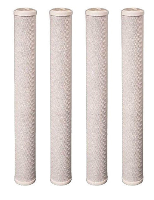 4-pack carbon block whole house water filter cartridges, 5 micron, 20 x 2.875 inches, compatible with EP-20