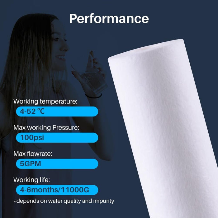 CFS – Sediment Water Filter Cartridges Compatible with 9534-40, EC110 Models – Whole House Replacement Water Filter Cartridge – 1 Micron – White
