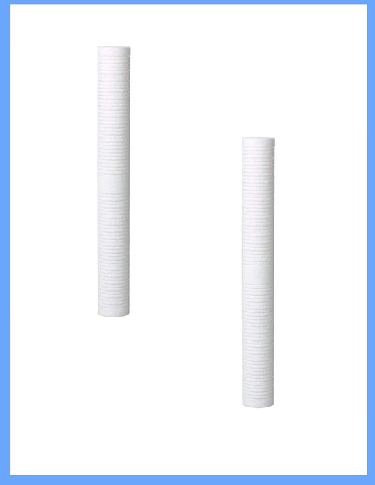 2-pack whole house replacement water filter cartridges, 5 micron, white, compatible with AP110-2 models