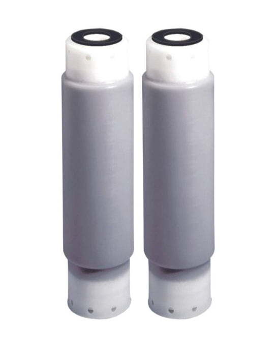 CFS Whole House Water Filter Cartridges – 2 Pack – Fits AP117, WHKF-GAC