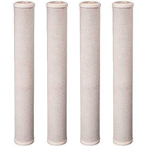 20"X2.5" Whole House Water Filter CTO Carbon Block by CFS