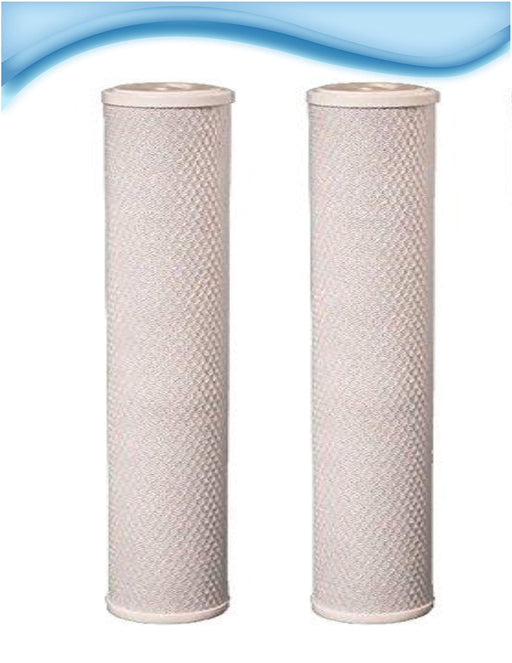 2-pack carbon block replacement water filter cartridges, 4.5 x 20 inches, white, compatible with EP-20BB models
