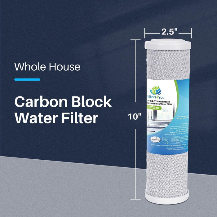 CFS Carbon Block Water Filters – 12 Pack – 1 Micron – Fits Hydro Life 52418, C-2471