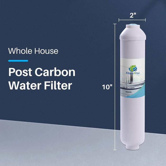 CFS Inline Carbon Filter – 1/4" FNPT – Fits EV9100-06, IN-10, GS-10ULTRA-B
