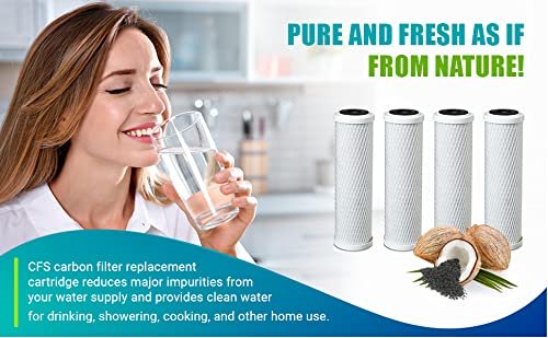 CFS – 1 Pack Carbon Block Water Filter Cartridge Compatible with CG5-10S, DEV9108-17 Models – Removes Bad Taste & odor – Whole House Replacement Filter Cartridge – 1 Micron – 10" x 2.5"